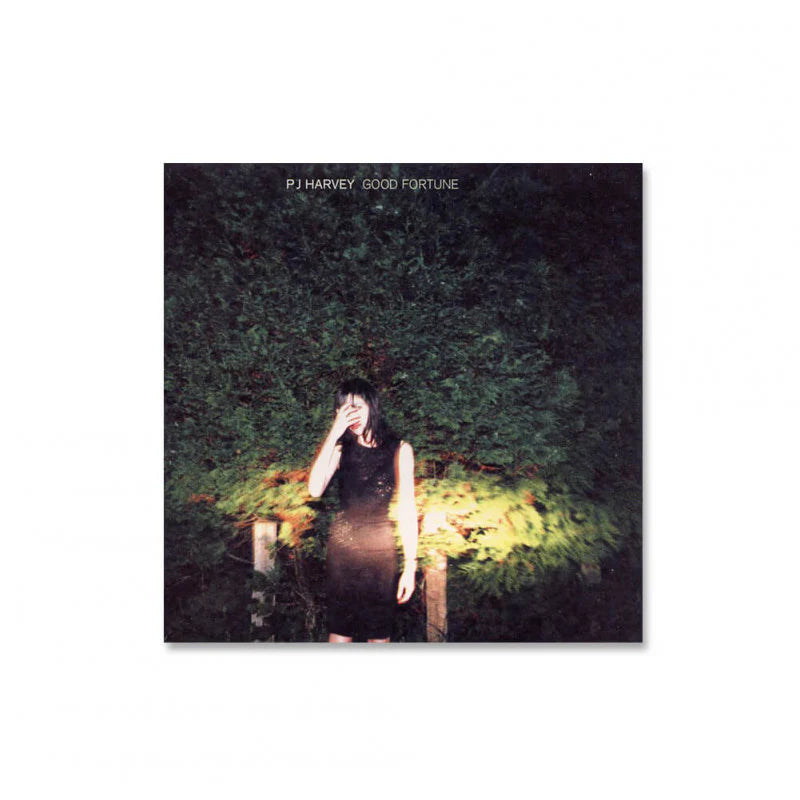 Good Fortune (Promo CD 1)