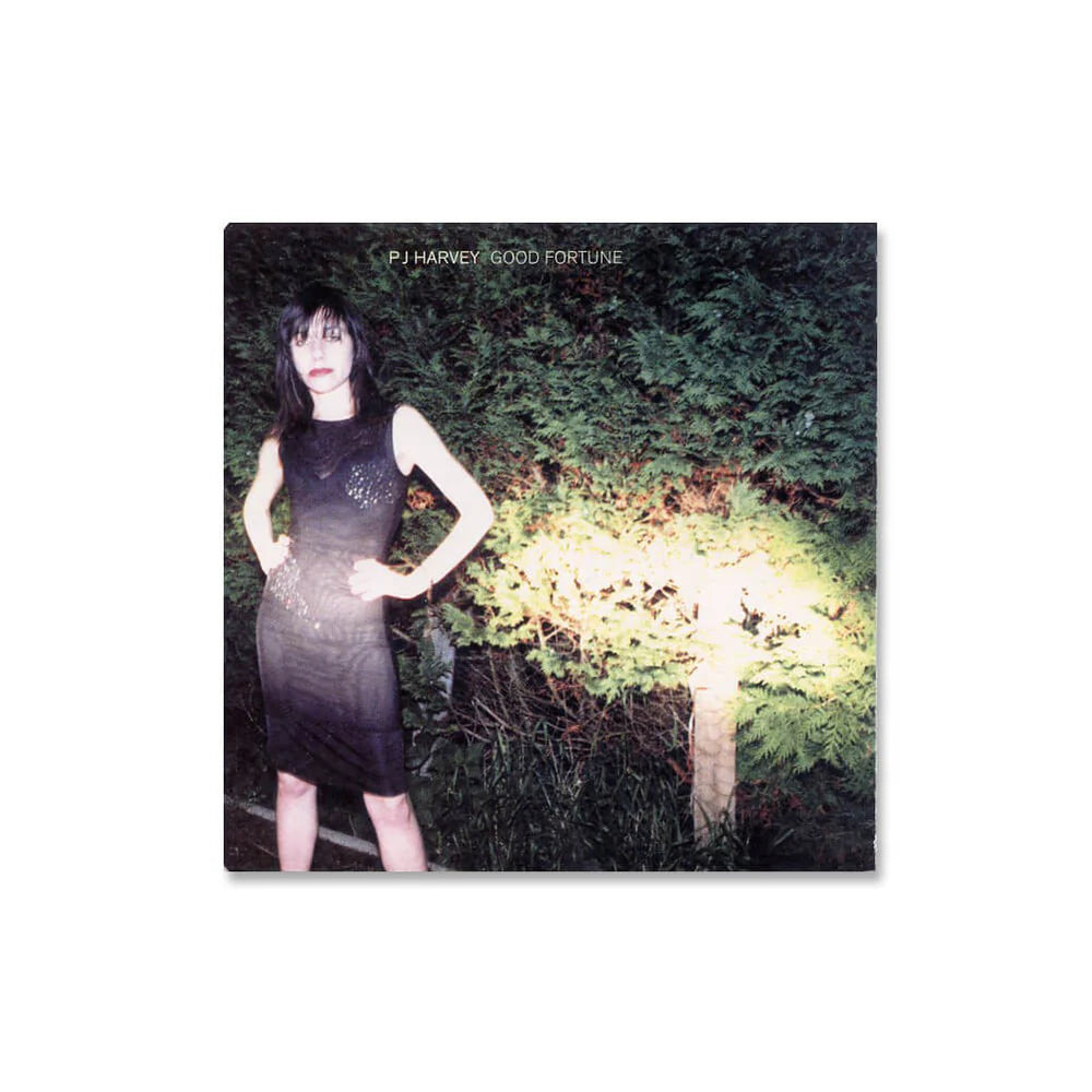 Good Fortune (Promo CD 2)