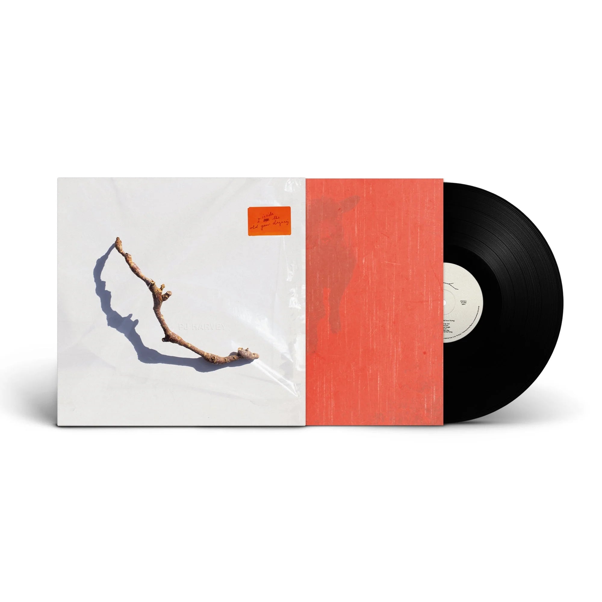 I Inside the Old Year Dying (LP)